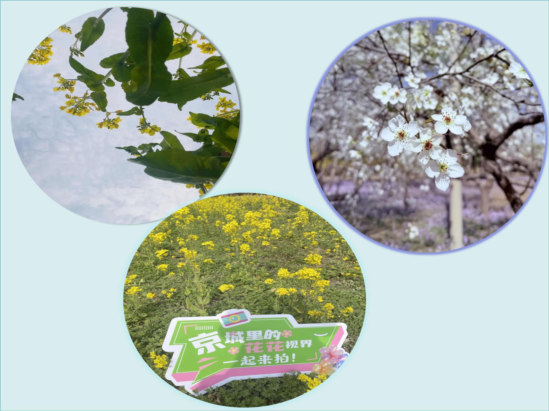 新建 PPT 演示文稿_01.jpg